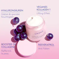 Resveratrol Hautverdichtende Kaschmir Creme 50ml NEU Nachfüllpackung