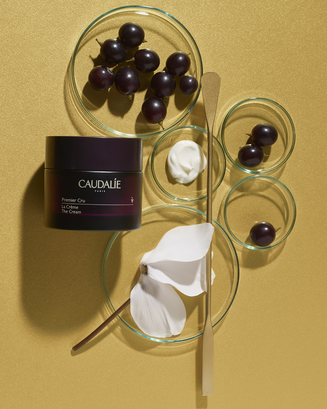 Premier Cru die Creme  50ml 